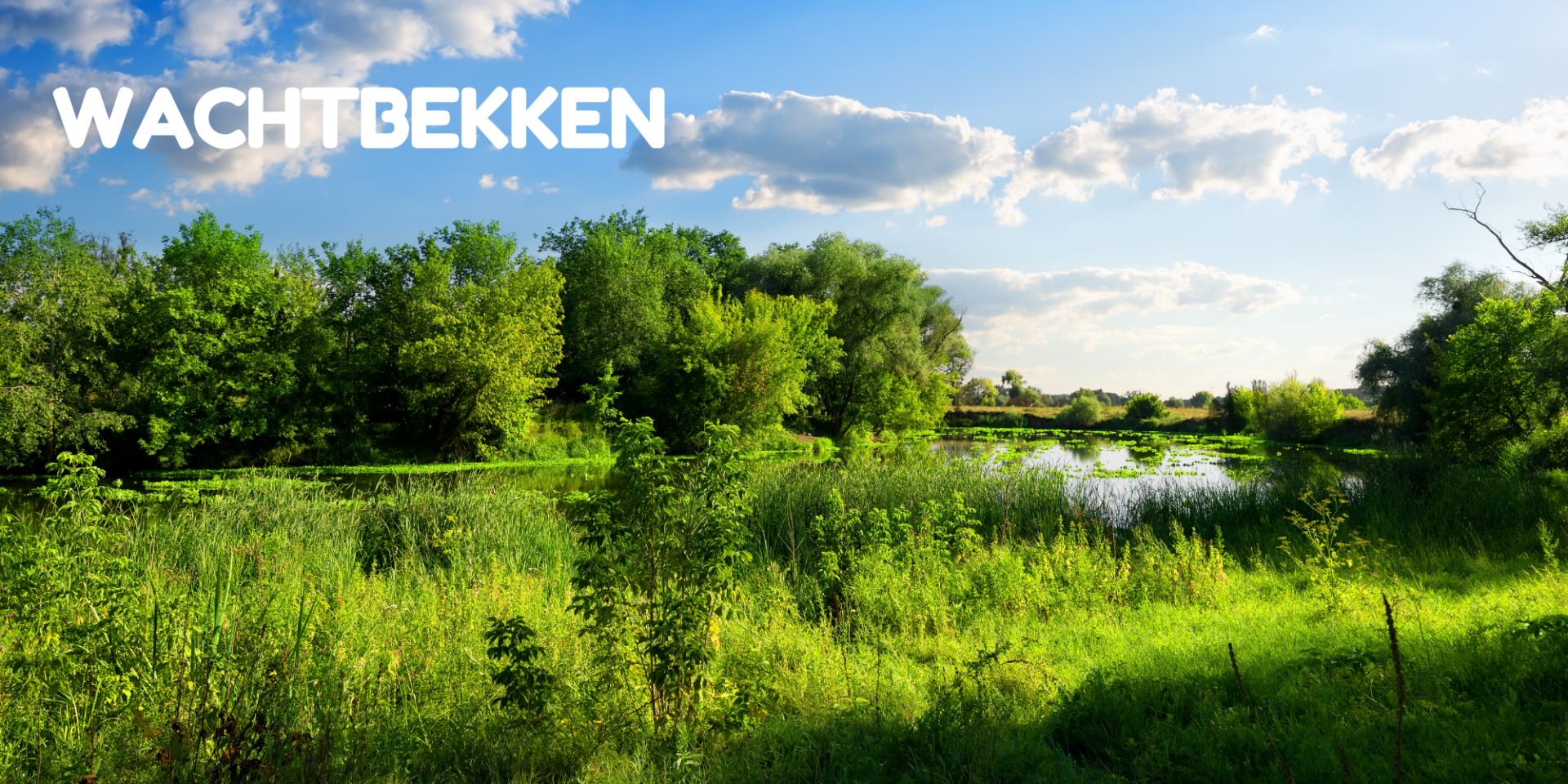 Een wachtbekken vol natuur